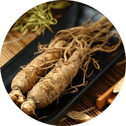 Panax Ginseng Extract for Cognitive Energy