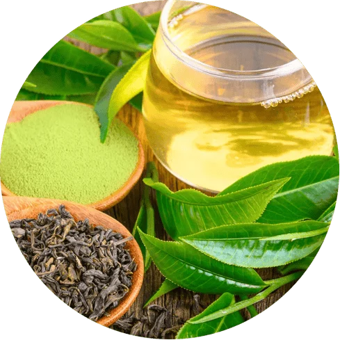 L-Theanine Calm Focus Mental Clarity